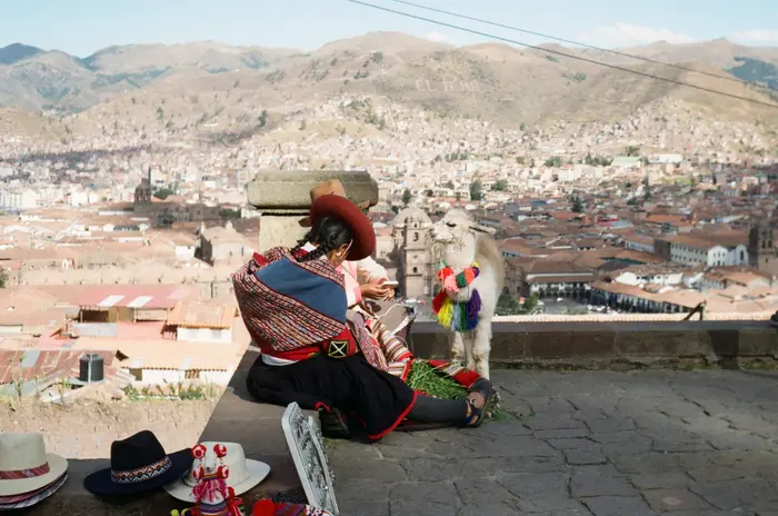 An alpaca at a viewpoint, next to handmade hats